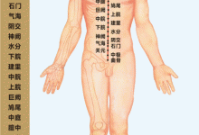 最全经络高清动图，所有穴位都有！再也不怕找不到穴位了！传...